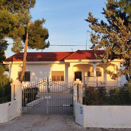 B&B Villa Vittorio Galatone Exterior photo