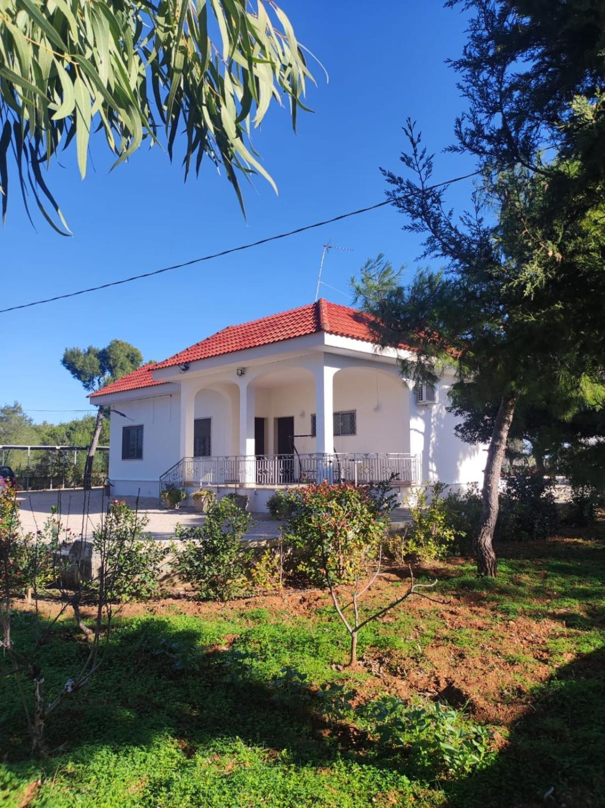 B&B Villa Vittorio Galatone Exterior photo
