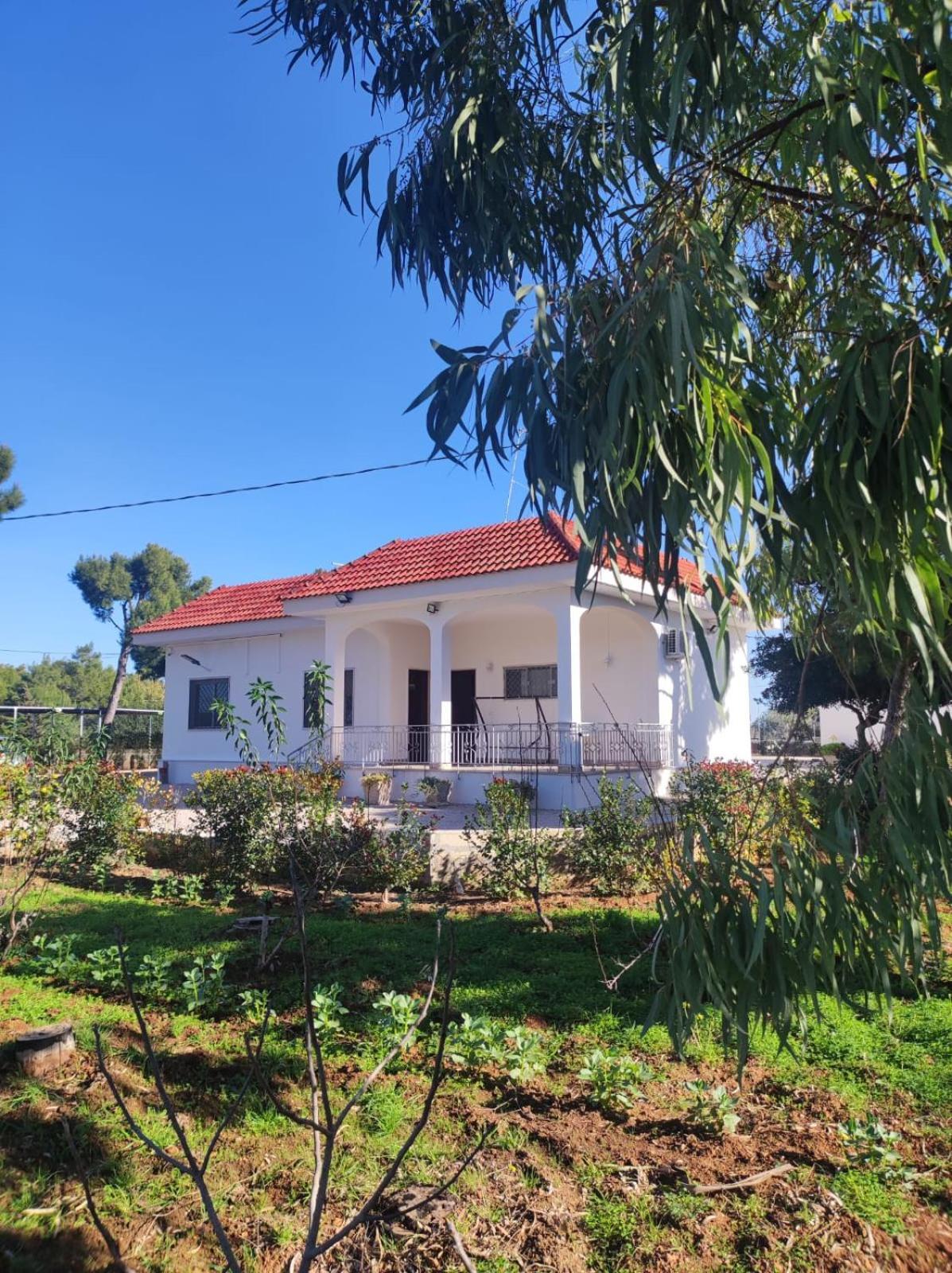 B&B Villa Vittorio Galatone Exterior photo